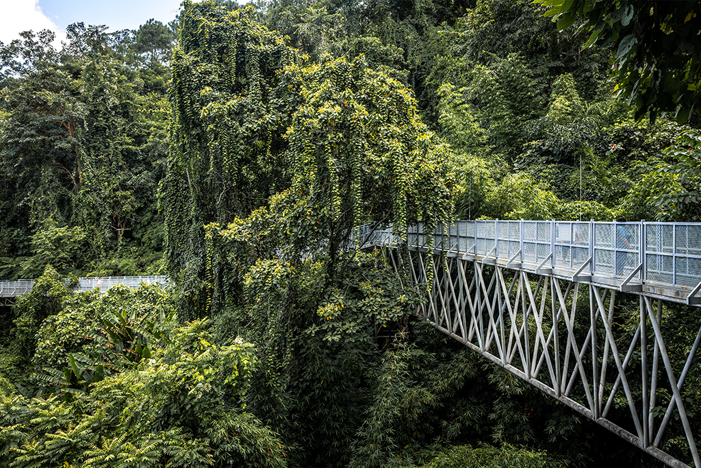 Queen Sirikit Botanic Garden