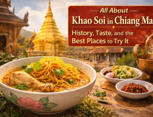 清迈 Khao Soi 指南:味道、历史、吃法和推荐餐厅