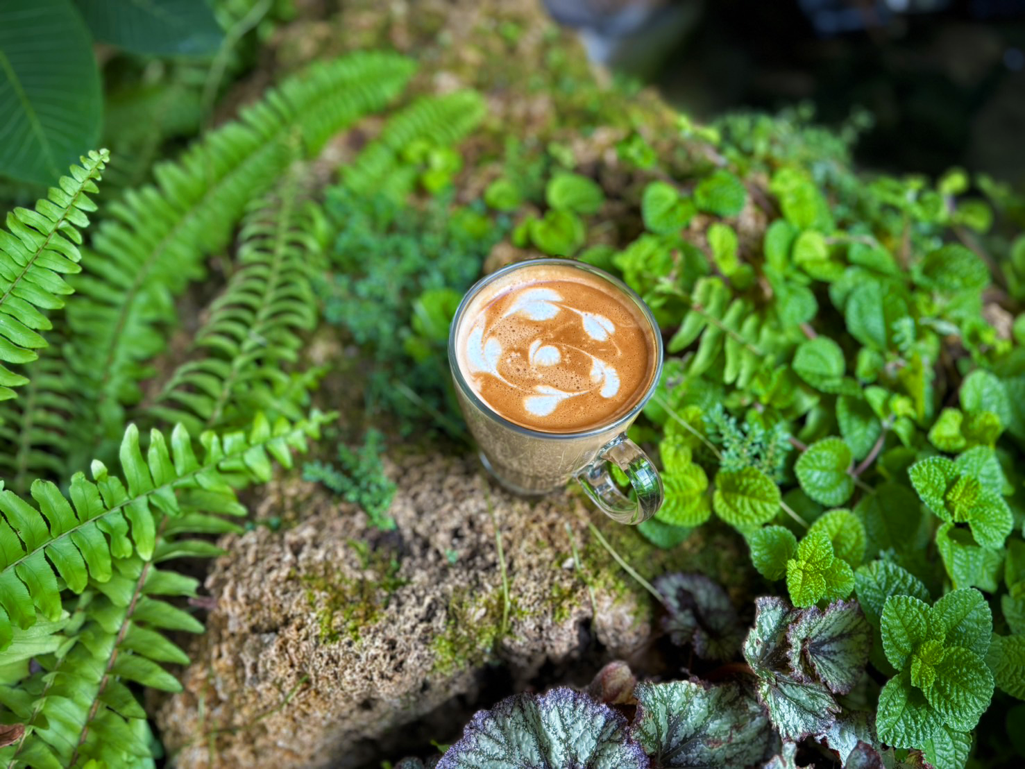 Latte