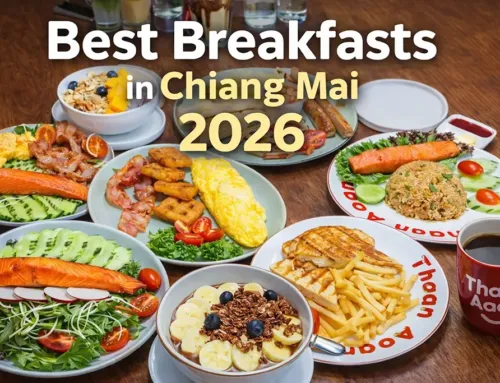 清迈早餐推荐2026:5家值得早起去的咖啡馆