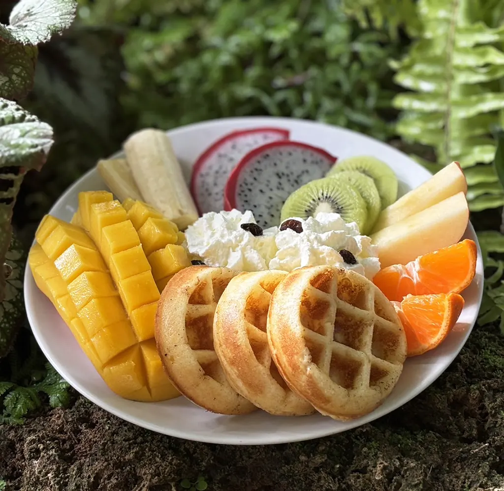 waffle, fruit and cream – best breakfast in chiang mai waffle, fruit and cream - best breakfast in Chiang Mai at Thaan Aoan.