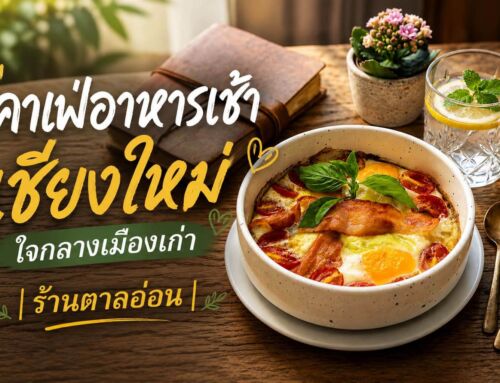 คาเฟ่อาหารเช้าเชียงใหม่ ใจกลางเมืองเก่า | ร้านตาลอ่อน