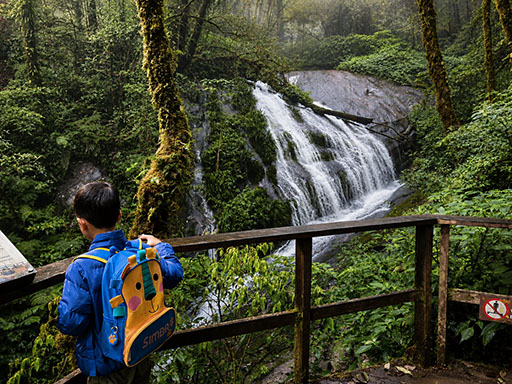 เที่ยวดอยอินทนนท์ Doi Inthanon day tour from Chiang Mai
