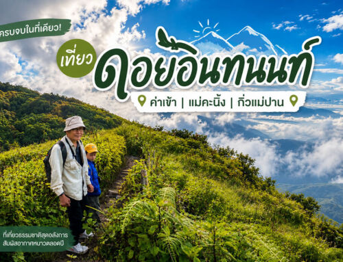 เที่ยวดอยอินทนนท์ 2569 ครบทุกเรื่อง: ค่าเข้า แม่คะนิ้ง กิ่วแม่ปาน และการเดินทาง
