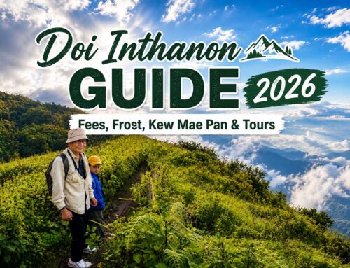 Doi Inthanon Guide 2026: Fees, Frost, Kew Mae Pan & Tours